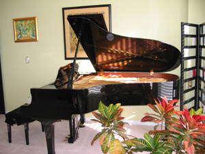 Yamaha grand piano professional series - C5
